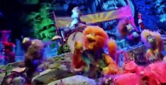 Fraggle Rock Back to the Rock S01 E07