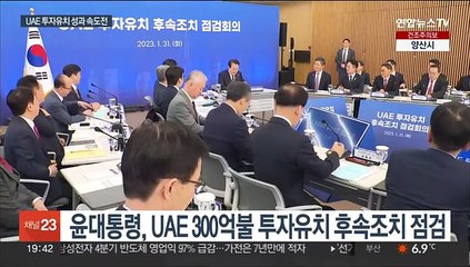 윤대통령 "UAE 투자, 기회이자 도전…정부가 기획사원돼야"
