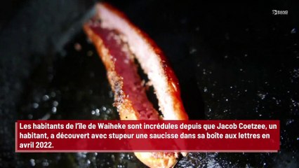 Un malfaiteur terrorise les habitants d’une île en déposant des saucisses dans leur boîte aux lettres !