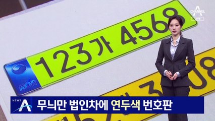 ‘무늬만 법인차’ 골라내기 위해…‘연두색 번호판’ 도입