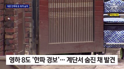 정확한 ‘거주지’ 개념은 어디까지?