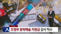 [단독]감사원, 文정부 문화예술 지원금 감사 착수