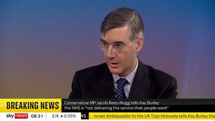 Jacob Rees-Mogg worried ‘we’re getting a bit snowflaky’ over Raab bullying claims