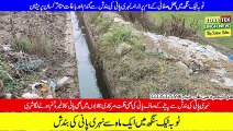 Toba Tek Singh Canal Water Blockage affected other crops including wheat and garden
