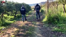 Sfruttamento del lavoro a Lamezia, disposto il controllo giudiziario di una società agricola