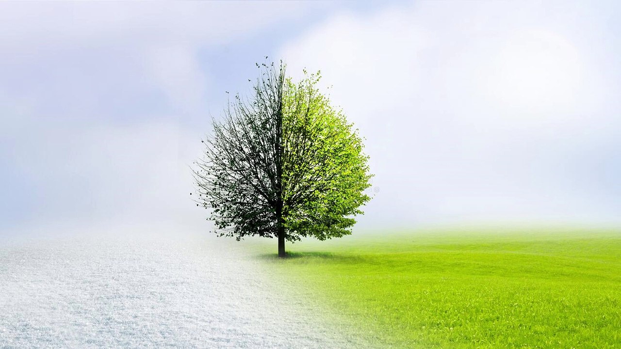 Relaxing Sleeping Sounds of Spring & Winter: Improve Sleep with Nature's Noises