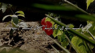 Log Kehte Hai Ke Zamane Mein Status Urdu #sad #status #urdu #poetry #english #english Shayari