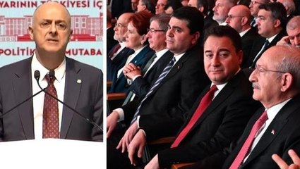 Mutabakat metninin dışına çıkarak İstanbul Sözleşmesi'ni anan İYİ Partili Özlale: Kendi irademle vurgulamak istedim