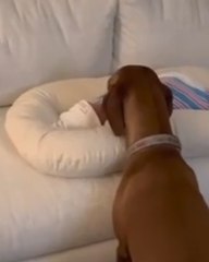 Sweet Welcome: Watch as Dogs Meet a Newborn Baby with Calmness and Love