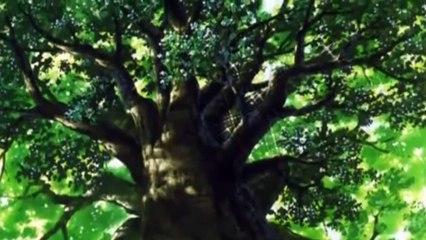 Inuyasha the Movie: Affections Touching Across Time | movie | 2005 | Official Trailer