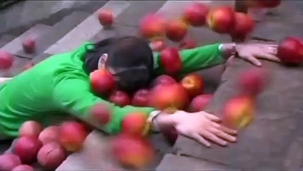 Turtles Are Surprisingly Fast Swimmers | movie | 2005 | Official Trailer