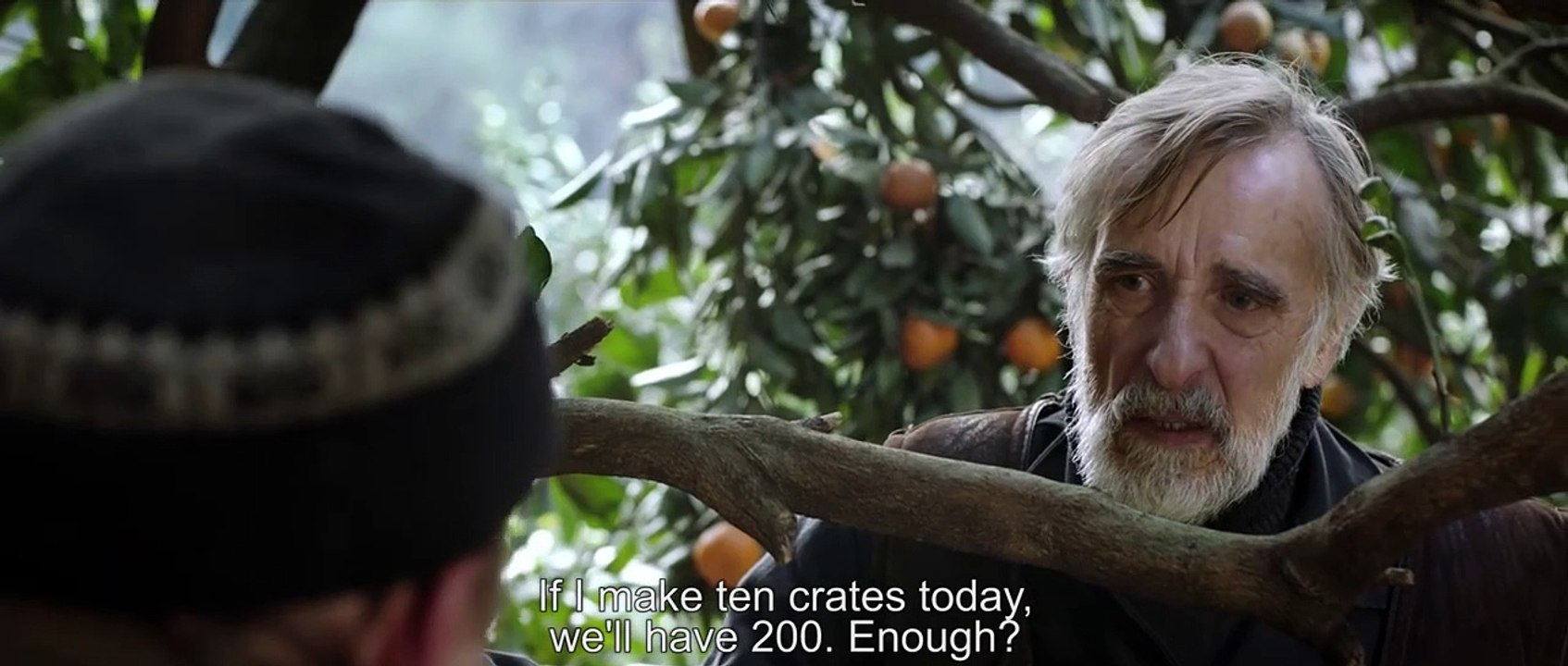 Tangerines movie 2013 Official Trailer video Dailymotion