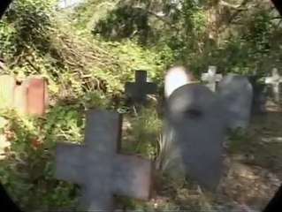 Stoned Dead | movie | 2006 | Official Trailer