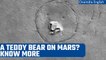 NASA spies Martian rocks that look just like a teddy bear | Oneindia News