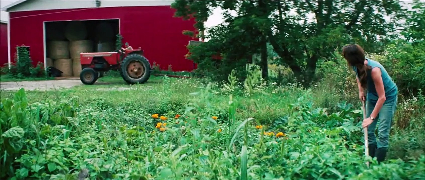 Wetlands | movie | 2011 | Official Trailer - video Dailymotion