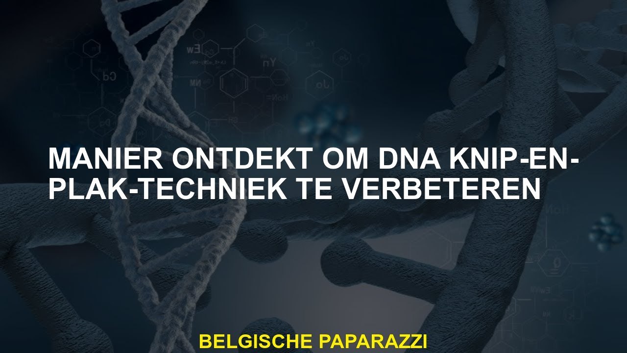 Manier ontdekt om DNA-knip-en-plak-technisch te verbeteren
