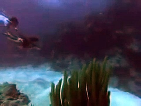 The Bermuda Depths | movie | 1978 | Official Trailer