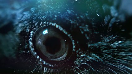 Betty: They Say I’m Different | movie | 2017 | Official Trailer