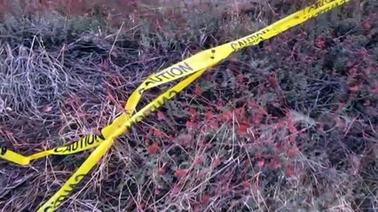 We Found Something | movie | 2022 | Official Trailer