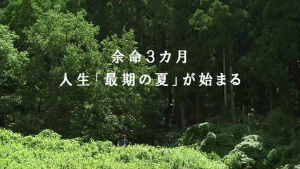 Pieta in the Toilet | movie | 2015 | Official Trailer