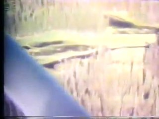 Sasquatch, the Legend of Bigfoot | movie | 1976 | Official Trailer