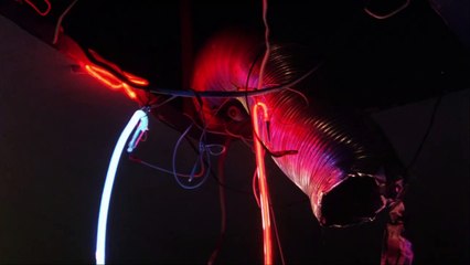 A Night in Nude | movie | 1993 | Official Trailer