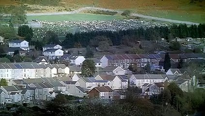 Undertaking Betty (2003) Official Trailer – A Darkly Comic Tale of Love and Deception 🎬