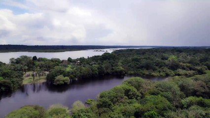 Teatro Amazonas: The Art of Sound and Nature | movie | 2022 | Official Trailer