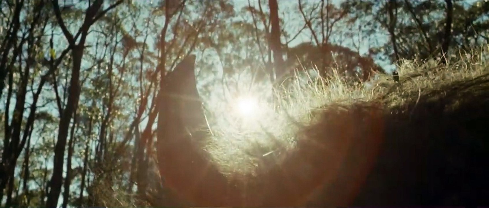 Where the Wild Things Are | movie | 2009 | Official Trailer