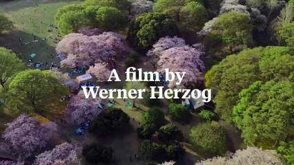 Family Romance, LLC | movie | 2019 | Official Trailer