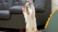 Simulation Bird Interactive Cat Toy Funny Feather Bird With Bell Cat Stick Toy For Kitten Playing Teaser Wand Toy Cat Supplies - Cat Toys