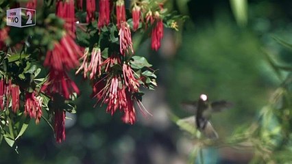 Patagonia: Earth's Secret Paradise | show | 2015 | Official Trailer