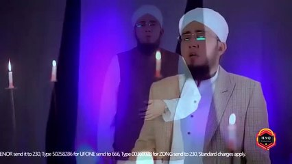 main nay tume dekha hai beautiful naat by hafiz Abdul Qadir