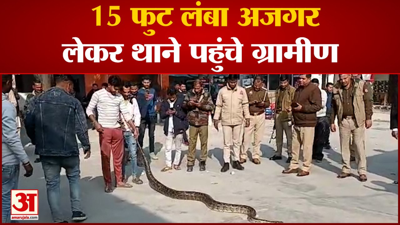 UP News: 15 फुट लंबा अजगर लेकर थाने पहुंचे ग्रामीण, सर्प मित्र बुलाकर जंगल में छोड़ा