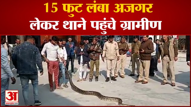 UP News: 15 फुट लंबा अजगर लेकर थाने पहुंचे ग्रामीण, सर्प मित्र बुलाकर जंगल में छोड़ा