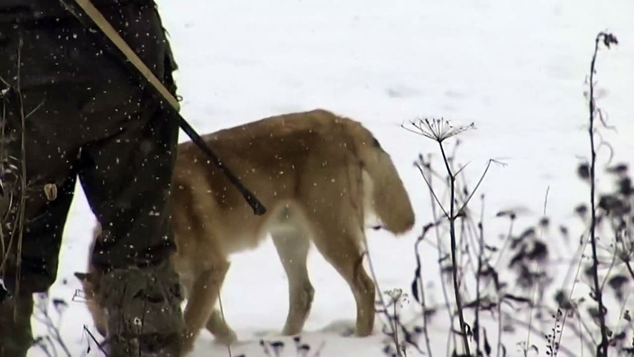 Happy People: A Year in the Taiga | movie | 2012 | Official Trailer