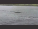 Big Nessie Loch Ness Incident werner herzog doc