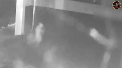 Real Ghostly Creatures Record On Camera