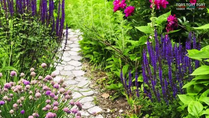 HUZURA DOGRU 20230127