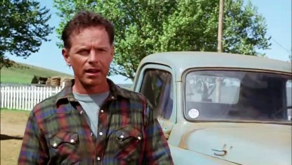 Racing Stripes | movie | 2005 | Official Trailer