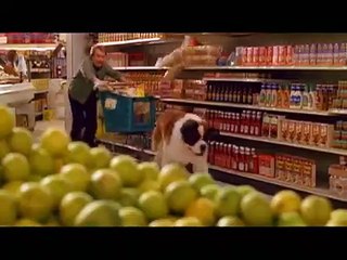 Beethoven's 5th | movie | 2003 | Official Trailer