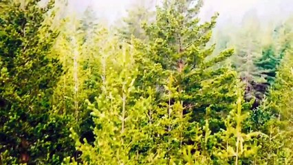 The Barrens | movie | 2013 | Official Trailer