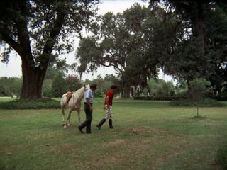 La Noche del Lobo 1972 Español Latino - Moon of the Wolf