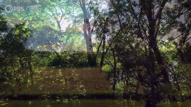 Laura Ingalls Wilder: Prairie to Page | movie | 2020 | Official Trailer