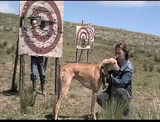 The Mighty Celt | movie | 2005 | Official Trailer