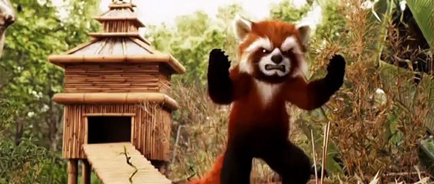 Snowflake, the White Gorilla | movie | 2011 | Official Trailer - video ...