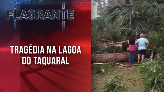 Árvore gigante cai e mata criança de sete anos em parque de Campinas | FLAGRANTE JP