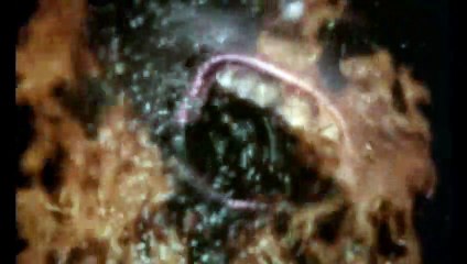 The Golden Voyage of Sinbad | movie | 1974 | Official Trailer