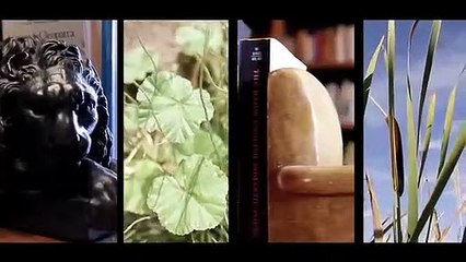 Notes from the Tilt-a-Whirl | movie | 2011 | Official Trailer