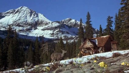 The Wilderness Family: Further Adventures (1978) | Official Trailer 🌲